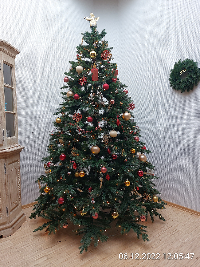 Weihnachtsbaum.png